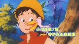 小飞侠第7集 守护永无鸟的蛋 动漫推荐 经典日漫 动漫解说