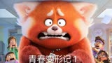 红熊猫1