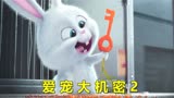 《爱宠大机密2》：小白兔为了解救同伴，竟直接将胡萝卜啃成钥匙