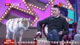 大戏看北京：拍《狼图腾》的时候，用的竟是真狼，还真敢拍！