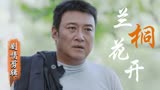 兰桐花开：村民想要回建砖厂的入股钱，最终能否如愿以偿