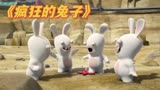 搞笑配音疯狂的兔子：四个兔子一个星星的争抢 你参与了嘛