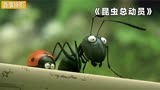 蚂蚁界的超燃大战！法国经典喜剧动画片《昆虫总动员》奉上！