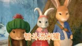彼得兔之智斗汤米獾和麦格先生，兔子们成功拿回木柴，儿童动画片