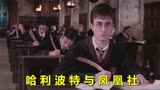 奇幻电影《哈利波特与凤凰社》：两名学生闯入课堂，却整惨了老师