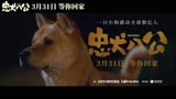 电影《忠犬八公》全新预告曝光“八筒相伴”延续温暖感动