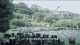 我不是药神：这个世界的残酷有时超乎我们的想象