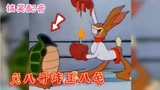 搞笑配音：兔八哥王八龟擂台大决战，爆笑角斗士