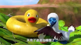 【配音】爆笑虫子：蓝色波波鸟和玩具鸭的绿色爱情！