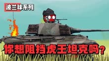 【波兰球】你想阻拦虎王坦克吗？请排队！（上）