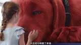 3.你见过这么大只的狗子吗大红狗克里弗