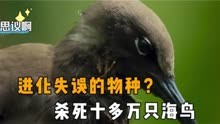 进化失误的物种？为了繁殖杀死十多万只海鸟，捕鸟树有多可怕