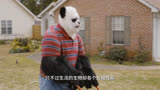  2023最好看的漫威电影，《银河护卫队3》 