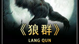 狼群——电影解说完成