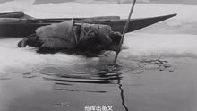 为了拍摄世界上第一部纪录片，因纽特人纳努克最终被活活饿死！