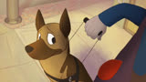 趣味动画短片——《运气》身为导盲犬不能忘记自己的职责！