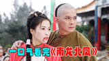 《南龙北凤》，黄麒英竟然把两种武功柔和在一起创出了虎鹤双行拳