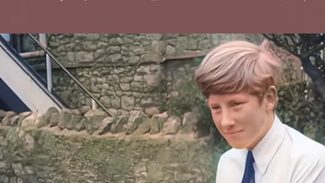 英語版　コンプトン百科事典全15巻（1967年版） 英語版 コンプトン百科事典全15巻（1967年版） 英語版