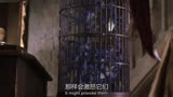 我向你道歉