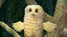 Owl Babies - Picture Book Animation