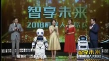 《智享未来——2018机器人大联欢》金博智能机器人