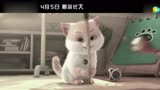 许巍献唱《猫与桃花源》插曲《无人知晓》MV，网友：忍不住单曲循环！