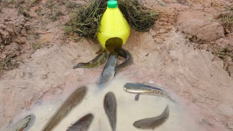 令人敬畏的塑料瓶捕魚器,一次竟能捕捉到如此多的魚