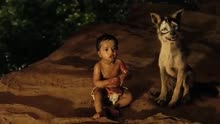 电影人类小孩孤坐在悬崖上，被一群狼保护着，不受到伤害