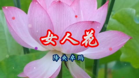 [音乐]怀旧老歌,降央卓玛一首《女人花》甜美醉人