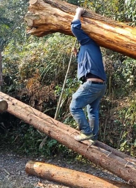 扛木头堵洞看图说话图片