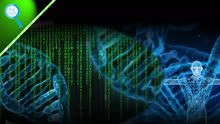 DNA也能存数据，维基百科成首个试验品丨观澜科技 033