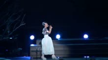 王菲巡唱2010上海演唱会第二场 Faye Wong 2010 Shanghai Concert