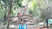 广东东莞旗峰公园的廉泉亭、东湖，廉泉不知为何干枯了？