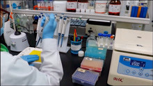 基因获取PCR和质粒载体酶切实验