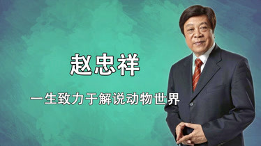 主持界传奇赵忠祥被誉为中国第一男播音解说动物世界深入人心