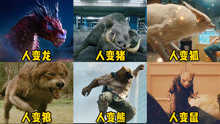 六个版本的人变动物，你觉得哪个变身更惊艳，人变野猪好逗啊