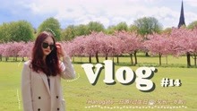 Vlog#14 | Harrogate一日游/赏樱花/河边聊天/过生日!/又长一岁啦/ 留学生日常 | 英国留学