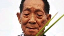 2021年5月22日13时07分，%袁隆平院士在湖南长沙逝世，享年91岁。袁老，一