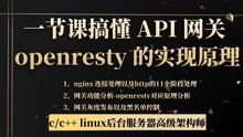 一节课搞懂 API 网关 openresty 的实现原理|linux服务器开发