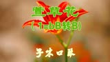 「口琴吹奏」电影《你好，李焕英》主题曲《萱草花》