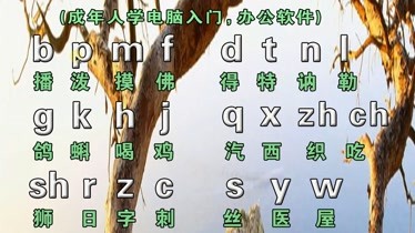 成人自學快速學好拼音字母初學零基礎也能快速正確使用拼音打字