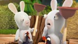 疯狂的兔子：兔子太搞笑了，尽职尽责的工作，掌声响起来