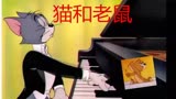 《猫和老鼠》汤姆举行钢琴演奏会，老鼠杰瑞来捣乱