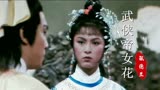《武侠帝女花》主题曲，米雪、刘松仁“首次合作”，当年谁看过呢