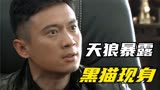 黑猫抓住叶寸心老妈，只因她也是K2的成员，天狼身份暴露