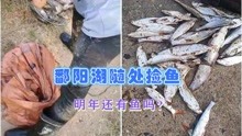 超20000斤！鄱阳湖村民疯狂捡鱼，十年禁渔被毁？来年是否还有鱼