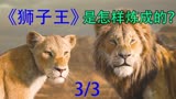 《狮子王》的蜕变之路：3/3#励志正能量原创解说 #搜索原片更精彩