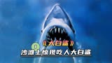海滩惊现大白鲨撕咬人类，《大白鲨》上集！