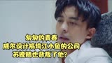 匆匆的青春：威尔设计搞垮江小鱼的公司，苏晚晴也背叛了他？