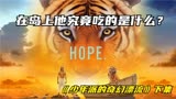 《少年派的奇幻漂流》下集，诡异的小岛上他究竟吃的是什么？